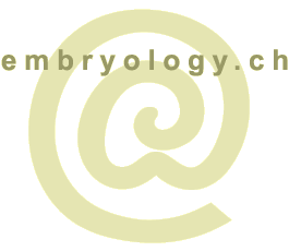 Logo embryology